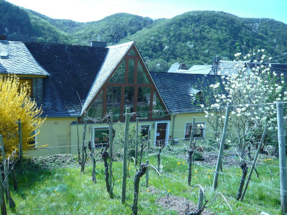 Pension Am Weinberg Mesenich Exterior photo