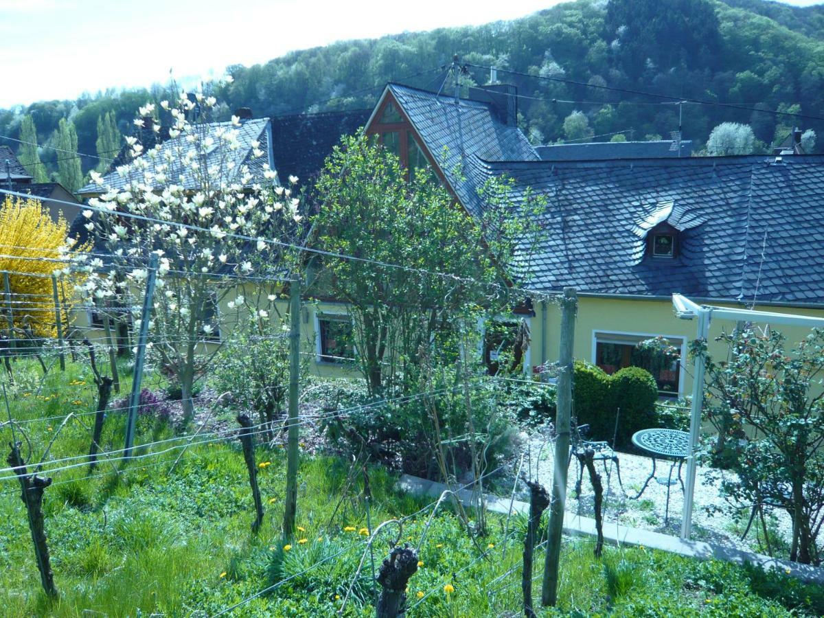 Pension Am Weinberg Mesenich Exterior photo